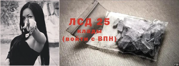 стафф Алзамай