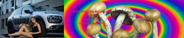 стафф Алзамай