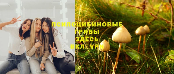 амф Алексеевка