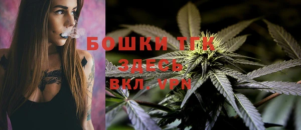 молекула духа Алексин