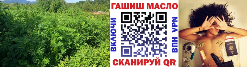 ТГК жижа Порхов