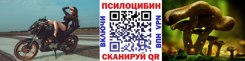 Псилоцибиновые грибы прущие грибы Порхов