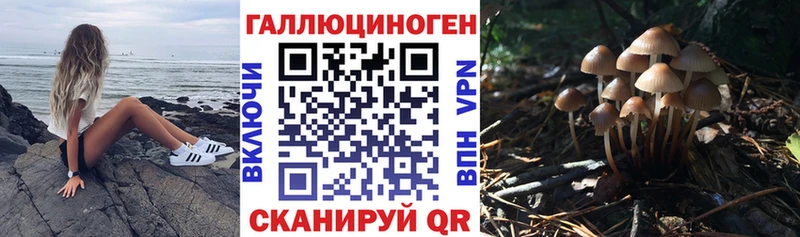 KRAKEN рабочий сайт  купить закладку  Порхов  Галлюциногенные грибы Psilocybe 